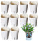 Vmxlso 10PCS Vasi Autoirriganti, Vaso Autoirrigante, Vaso con Riserva d'Acqua con Indicatore del Livello Dell'Acqua, Autoirrigazione Piante Vaso Per Interni Ed Esterni 9.5cm