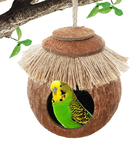 Shell's Bird's Nest con de anidación de pájaros natural colgante para