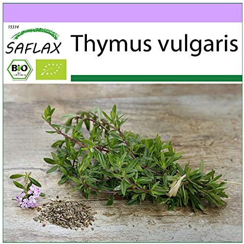 SAFLAX - Organic - Thyme - 800 Seeds - Thymus vulgaris