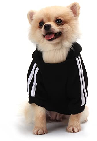 QiCheng&LYS Hunde Hoodie,Kleine Hunde Strickpullover Wintermantel Für Kleine Hunde (Schwarz, M)