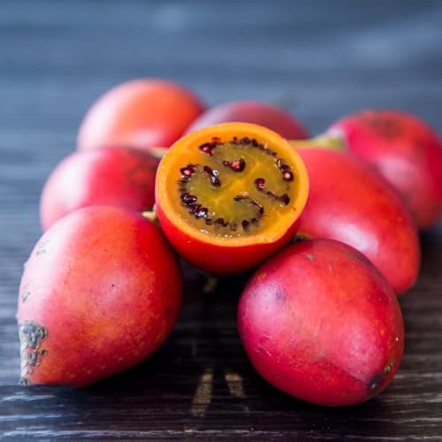85 piezas semillas de tamarillo, tomate sostenibles, silvestres, en el interior.