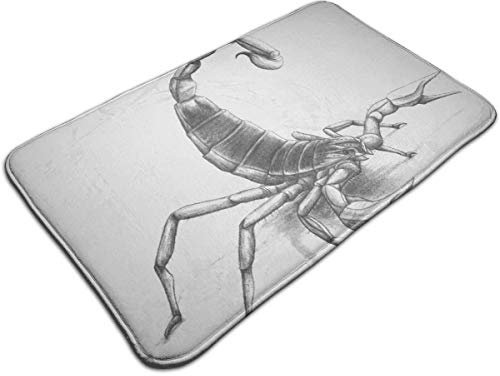 Decorativo Tapete Pintura de escorpión Resistente Alfombrilla de WC 60×40cm para Oficina,Balcón,Cuarto de Baño,Puerta