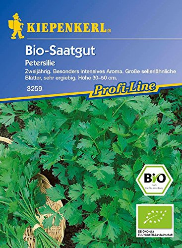 Kräutersamen - Petersilie, Gigante di Napoli (Bio-Saatgut) von Kiepenkerl