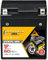 Panther GEL Batterie 12V 6Ah 50A YTX7L-BS Motorradbatterie DIN 50614 CTX7L-BS