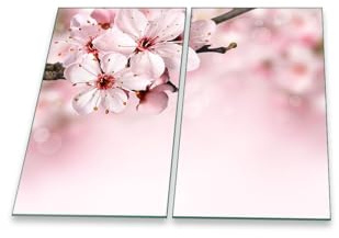 Herdabdeckplatte 2 teilig Ceranfeld Orchidee Pink 2x30x52 Kochplatten Glas Küche