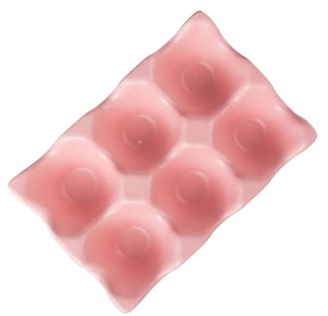 SOLUSTRE Contenedor Antideslizante y Resistente a Golpes 6 Rejillas de Cerámica para Almacenar Huevos para Cocina Moderna y Elegante