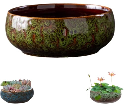 Fioriera a forma di fiore di loto, ciotola in ceramica per fiori di loto, ciotole retrò per piantare in acqua all'interno, contenitore idroponico non poroso per piante grasse