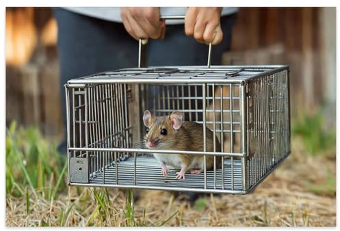 500 Pieces Small Cute Mice Trapped Wooden Jigsaw Puzzles Valentine's Day Gift Challenging Games Adults Toys Gift Family Decoration Puzzles