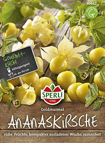 Obstsamen - Ananaskirsche Goldmurmel von Sperli-Samen