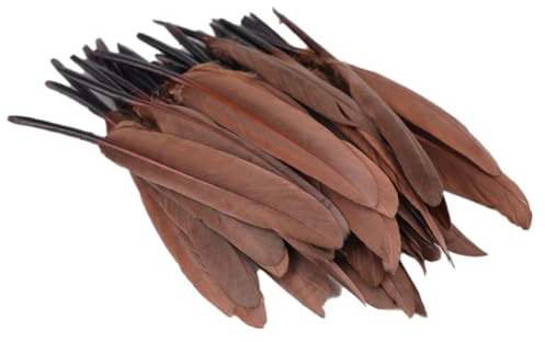 Blausky 100 Stück Dekofedern zum Basteln,Natürliche Gänsefeder Farbige Federn Flauschige Feather DIY Bunte Feder Bastelfedern für Traumfänger Haarschmuck Hochzeit Deko 12-18cm,Braun
