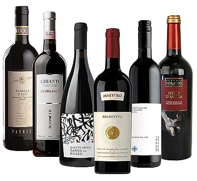 The Wine Guys Probierpaket „Rotweinreise durch Italien“| Weinpaket mit sechs verschiedenen italienischen Rotweinen (6 x 0,75 l ) | Tolles Wein Tasting-Set | 750 ml (6er Pack)