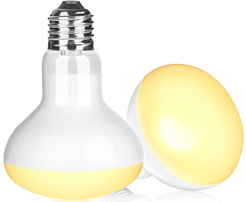 NEPTONION Reptilienwärmelampe, 100W UV-Wärmelampe, Tageslicht-Spotlampe für Eidechsen, Schildkröten, Bartagamen (E26, 220V),2 Pack