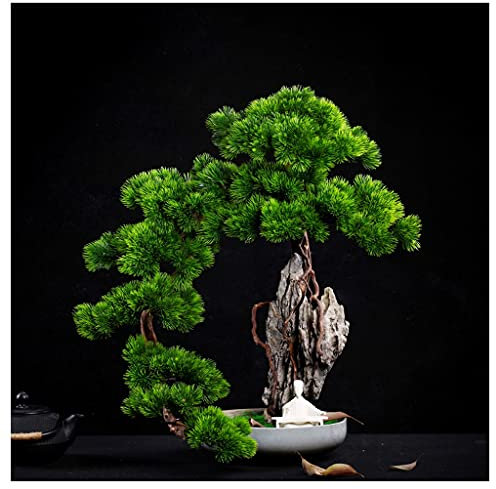 Pianta Artificiale Cipresso artificiale della scogliera Ospiti benvenuti Songke Bonsai Parete della scogliera Tessitura Roccioso Podocarpus Foglia d'acero Ufficio Soggiorno Zen Ornamenti in vaso Piant