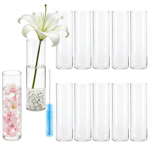 Kleine Vasen für Tischdeko 12 Stück 15x4cm Zylinder Blumenvasen Glas für Home Hochzeit Party Wohnzimmer Esstisch Deko