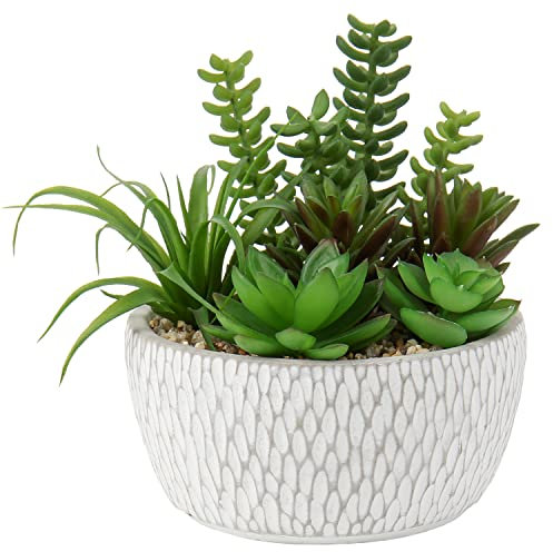 Briful Planta artificial suculentas, planta de interior artificial, arreglo de plantas suculentas, decoración de mesa, decoración para salón, aparador, altura de 16 cm