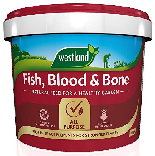 Westland Fish, Blood and Bone All Purpose Plant Food, 10 kg