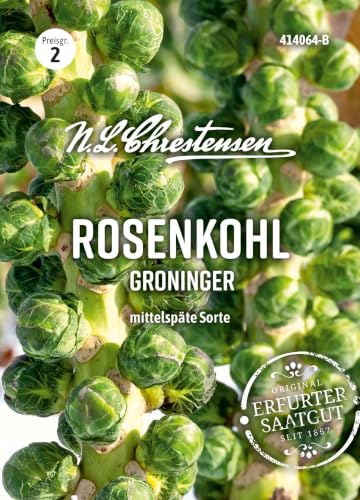Rosenkohl, Groninger Mittel-spät, Überwinterung N.L.Chrestensen Samen 414064-B