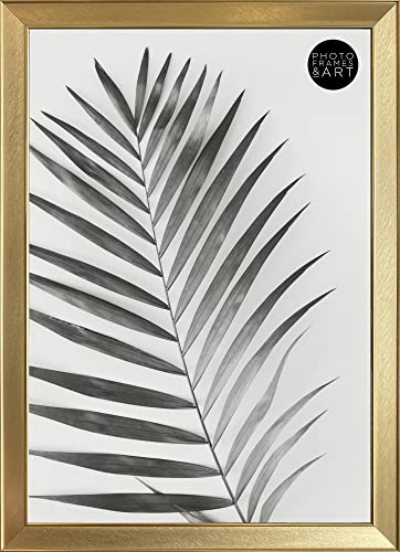 pf+a REAL GLASS Gold A3 (29.7x42cm) Photo Picture Frame Wall Display