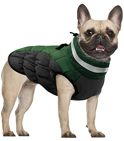 CITÉTOILE Winter Hundemantel mit Geschirr für Große Hunde Grün XXL | Wasserdicht Hundejacke mit Fleece Gefütterte, Warme Hunde Wintermantel mit Reflektierend für Kaltes Wetter