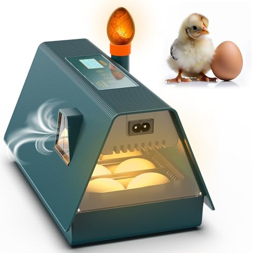 Incubadora Huevos Gallina - Ideal para todas las edades - Incubadoras de Huevos Automaticas - Volteo Automático y Control de Humedad - Okkobi M10 - Verde y Naranja