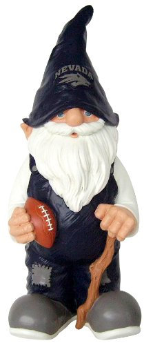 FOCO Nevada 2008 Team Gnome