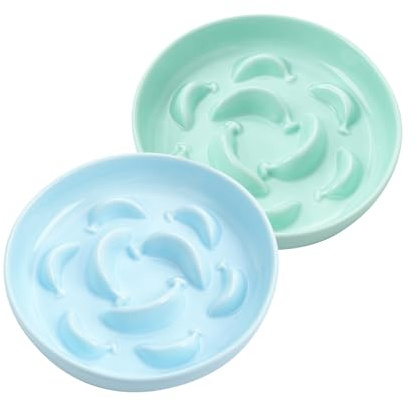 Cat Slow Feeder Bowl Set - 2 Pcs Ceramic Cat Food Plates for Slow Eating - Double Cat Dish for Dry Wet Food - Slow Feeding Cat Bowls Whisker Friendly - Microwave and Dishwasher Safe - Blue and Green