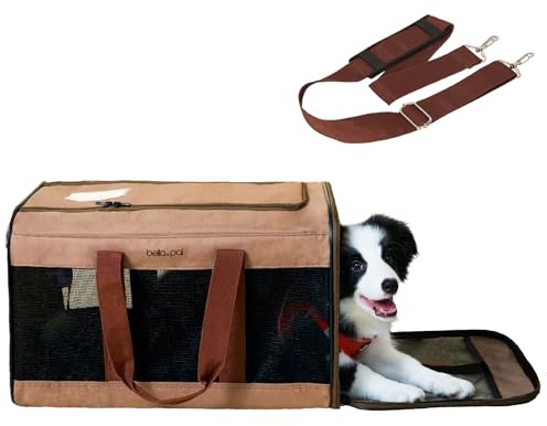 BELLA & PAL Katzentransportbox Für große Katzen und Welpen–Leichte faltabre Transporttasche Katze- Ausbruchsichere, Wasserdicht & Kratzfestem Netz, 50x31x31cm bis 10kg Für Tierarzt/Auto/Flugzeug