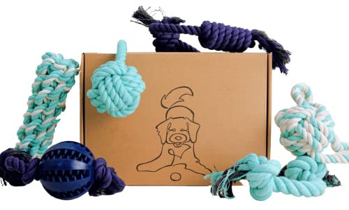 Puppy Rope Toys, Chew Ropes for Puppies from 8 weeks, Teething Toys for Play, Natural Dog Enrichment, Puppy Gift Box (Small-Medium)