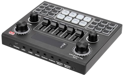 Set di Microfono a Condensatore, Microfono per il Computer Cellulare PC Karaoke BM800 per la Trasmissione di Record di Record di Gioco Podcasting (SILVER)