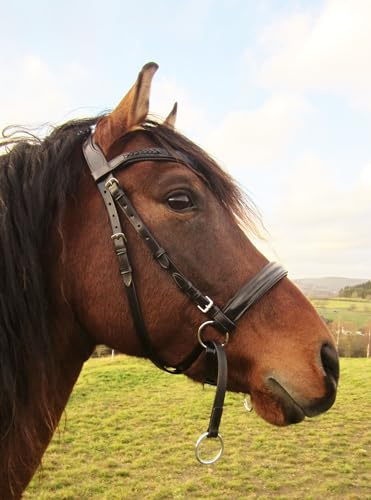 PS Pferdeartikel Weiche Gebisslose Zäumung - Trense anatomisch Tilia Größe Pony - Farbe Natur