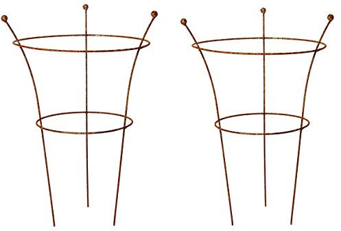 RUDDINGS WOOD Set of 2 x Natural Rust Metal 3 Leg Medium Herbaceous Peony Plants Support Rings (64cm high x 42cm diameter) Garden Rusted Flower Plant Grow Through Cage Frames