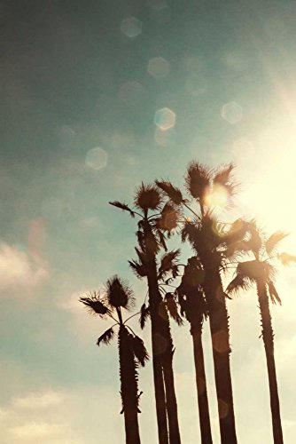 Feeling at home Lienzo-con-AMERICANO-BOX-Palmas-en-el-Sol-Navas-Emily-Fotografía-Fine-Art-print-on-madera-marco-Vertical-30x20_in