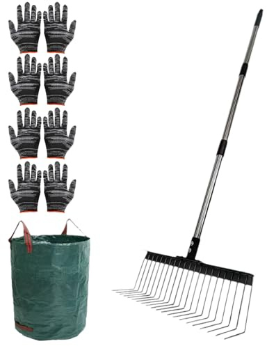 Lawn Dethatcher Rake, 15.6 Inch 21 Tines Thatch Rake with 4 Handle Sections & Leaf Bags, Up to 1.66m Adjustable Manual Scarifier Tool/Thatch Rakes for Grass, Garden, Yard