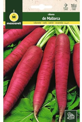 Mascarell Semillas, RÁBANO, Semillas Huerto, RÁBANO DE MALLORCA, Crea tu Propio Huerto Urbano y Cultivo en Casa, Plantas Hortícolas, 10 Gramos