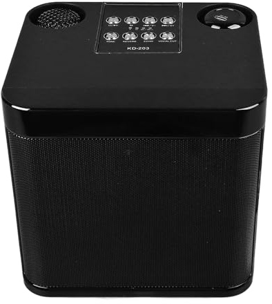 Drahtlose Karaoke-Lautsprecher, Tragbare Karaoke-Maschine BT-Lautsprecher mit 2 Drahtlosen Mikrofonen, Leistungsstarker Subwoofer, für Home-Party-Camping-Meeting