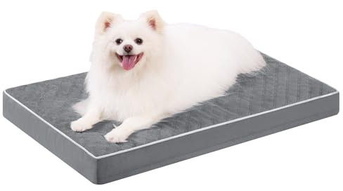 KSIIA Orthopädisches Hundebett Kleine Hunde, Dunkelgrau, 58x43x7cm | Hundekissen aus gewirbeltem kurzplüsch, hundematte waschbar, hundematratze abnehmbar