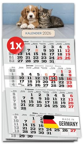 PRIMUS PRINT 4-Monats Einblockkalender 2026 mit Schieber - Wandkalender zum Aufhängen - großer Monatskalender- inklusive Feiertagen - verschiedene Motive, verschiedene Sets [ 1x Welpen-Duo ]
