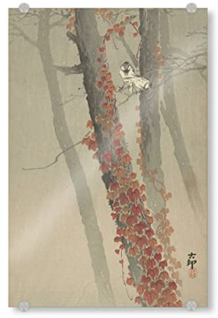 artboxONE Acrylglasbild 150x100 cm Natur Roter Efeu Bild hinter Acrylglas - Bild Ohara gemälde Japan