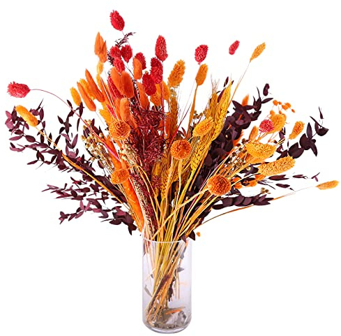 Pampasgras Getrocknet Natürliche Trockenblumen 100 Stück Trockenblumen Herbst Getrocknete Blumen Getrocknete Blumenarrangements für Zuhause, Hochzeit, Tischdekoration