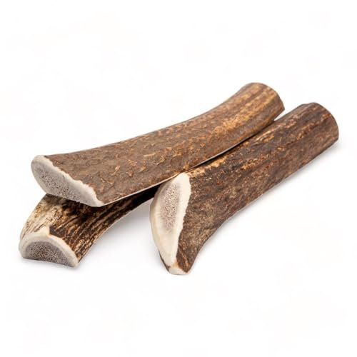 Dilecti Corno di Cervo per Cani - Osso di Cervo da Masticare, Snack Naturale e Gioco Masticativo di Lunga Durata per l'Igiene Dentale del Cane - spaccate M (3 Pezzi)