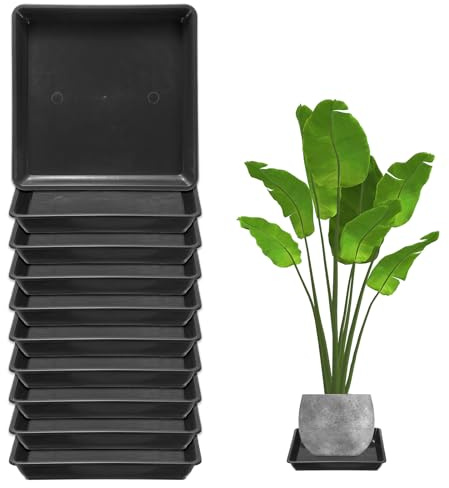 M METERXITY Lot de 10 Soucoupes pour Pots de Fleurs, Plateau d'Égouttement Carré en Plastique de 7 Pouces, Soucoupe de Pot sans Trous, Plateaux de Plantes Durables pour Pots [Noir]