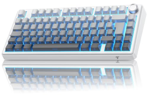 TECURS MK209 75% Kabellose Gaming-Tastatur, DE ISO, RGB, Roter Switch