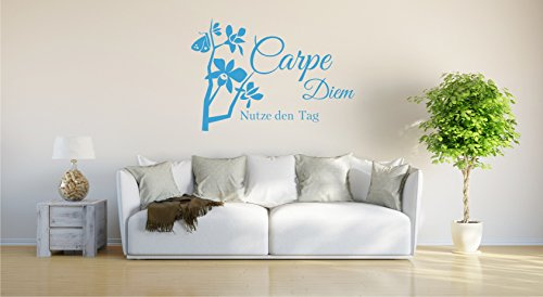 Vinilo decorativo para pared Carpe Diem 70cm x 60cm azul claro E914
