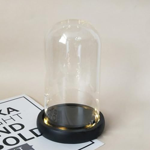 Nynelly Glasglocke mit schwarzem LED-Lichter, 3.9 D x 7.3 H