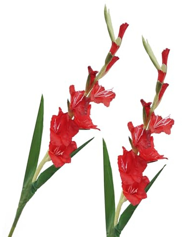 BQEE Lång stam konstgjord gladiolusblomma, set med 2, hem/bröllop/kontorsdekor (röd)