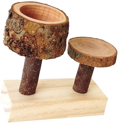 Beimus Bol en Bois De Pommier Naturel pour Hamster Jouet À Mâcher Alimentation Petits Animaux De Compagnie Durabilité Nourriture en Bois Stable Petits Animaux