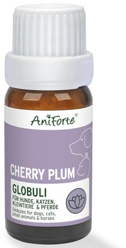AniForte Cherry Plum Globuli Gelassenheit für Hunde, Katzen, Haustiere - Bachblüten zur Beruhigung bei unterdrückten Ängsten, unkontrollierten Reaktionen und Unruhe
