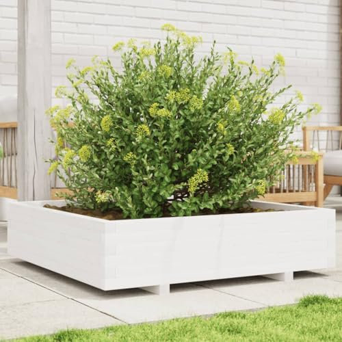 Brokky Pflanzkübel Weiß 100x100x26,5 cm Blumenkasten Balkon Pflanzschalen FüR Draussen Balkon Pflanzkasten Massivholz Kiefer