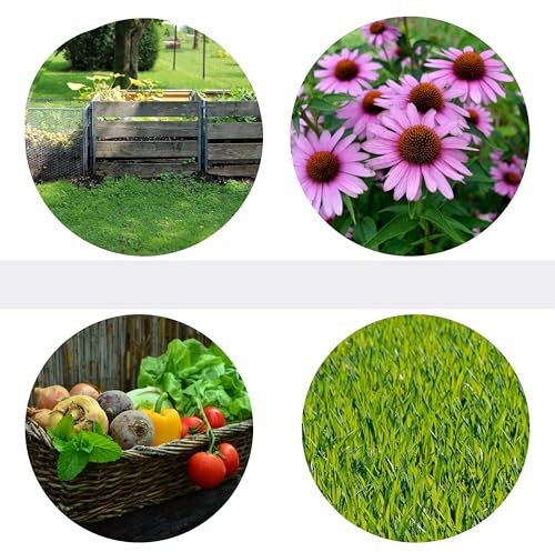 Urgesteinsmehl als Bio Universal Dünger mit Langzeitwirkung Obst, Gemüse und Zierpflanzen Rasendünger Kompostbeschleuniger Streucher Naturbasis Nachhaltig