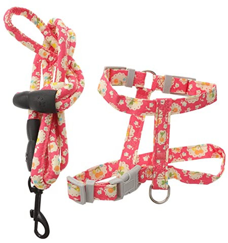 DRESSOOS Katzenleine Und Geschirr-Set Verstellbares Katzengeschirr Mit Katzenleine Zum Spazierengehen Leicht Und Kompakt Für Kleine Katzen Und Outdoor-aktivitäten